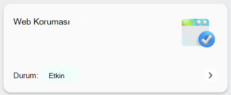 Cihazda web korumasının etkinleştirilip etkinleştirilmediğini gösteren kutucuğun ekran görüntüsü.