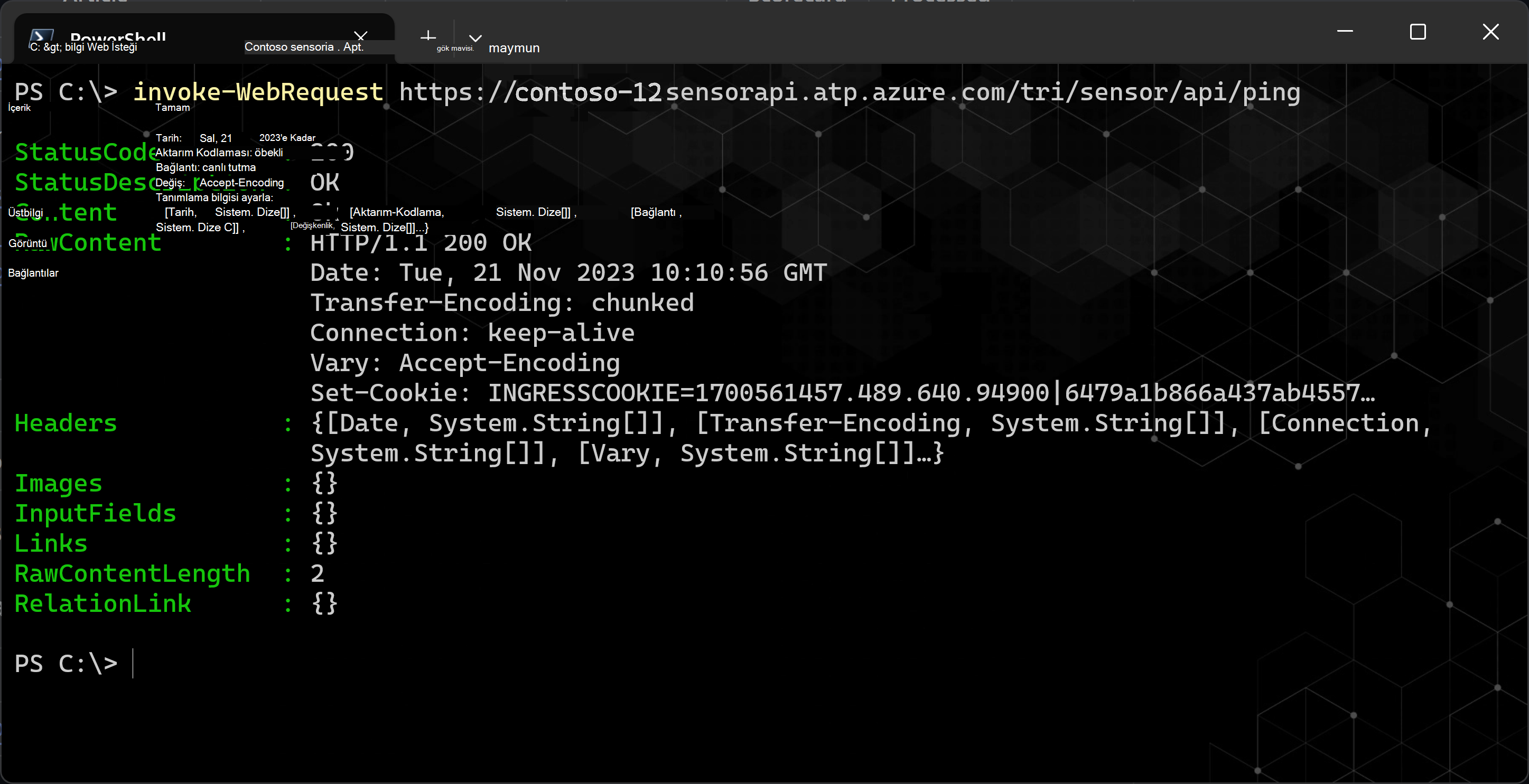 HTTP 200 durum kodunun (Tamam) ekran görüntüsü.