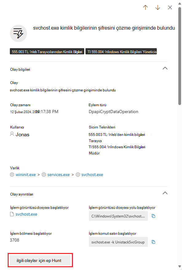Olay ayrıntıları panelinin ekran görüntüsü.