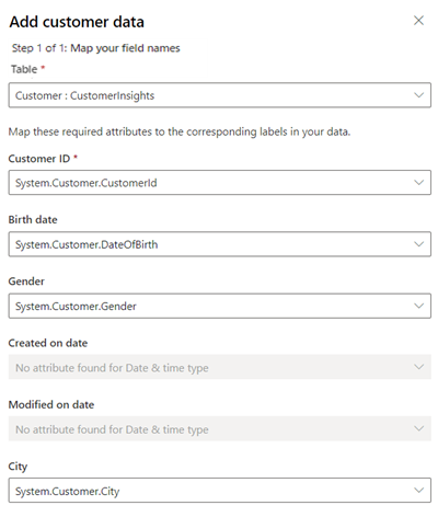 Müşteri profili verileri için eşlenen alan örnekleri.
