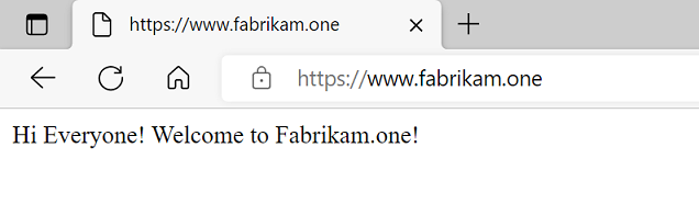 Kimlik doğrulaması sonrasında başarılı uygulama erişimini gösteren tarayıcı.