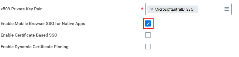 Workday Mobile Browser oturum açma ekran görüntüsü.