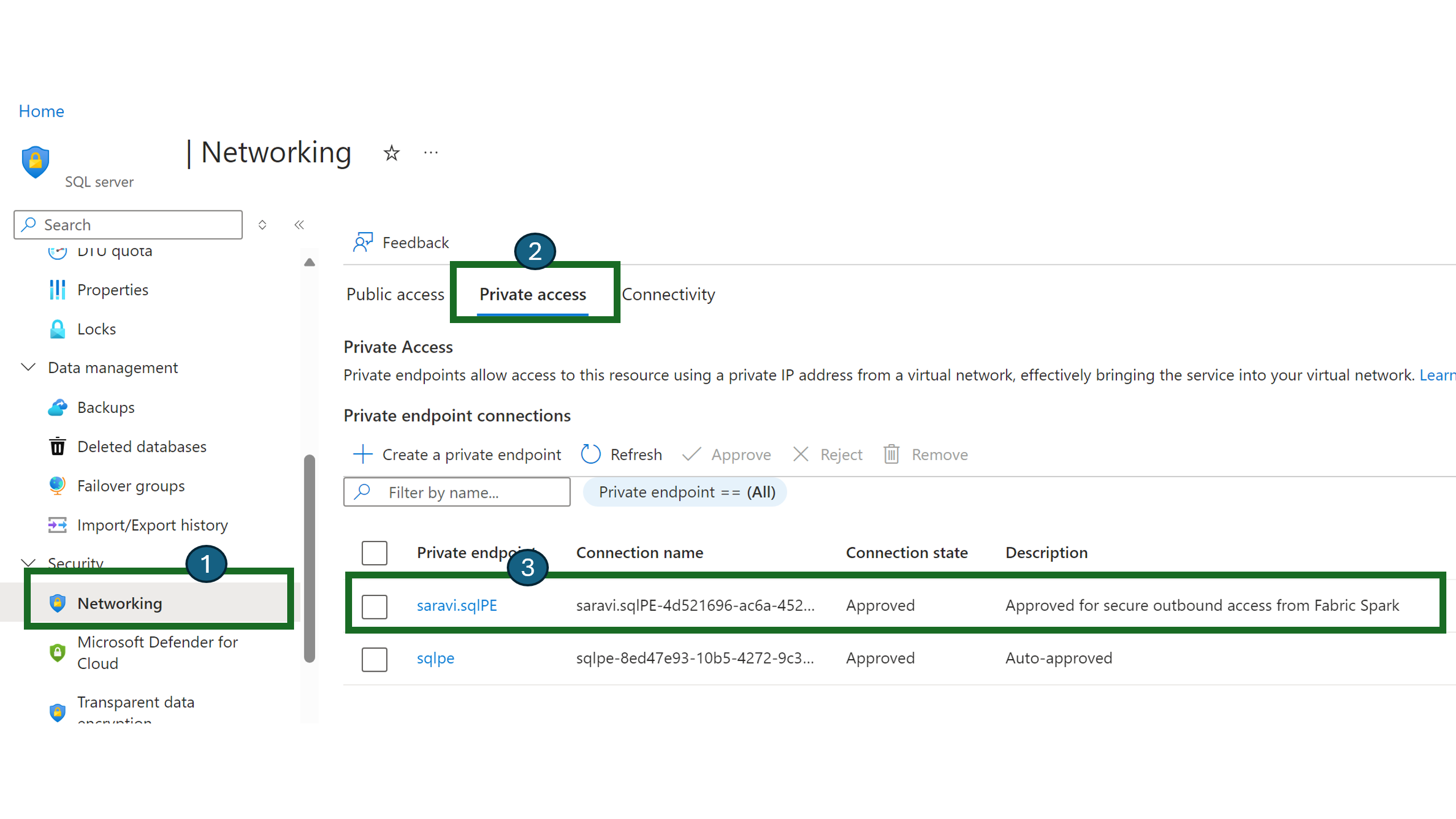 Screenshot showing the Private access tab on the Networking page of a resource in the Azure portal.