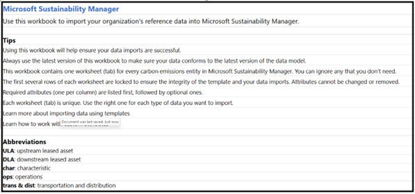 Excel şablonunun yönerge sayfası sayfasını gösteren ekran görüntüsü.