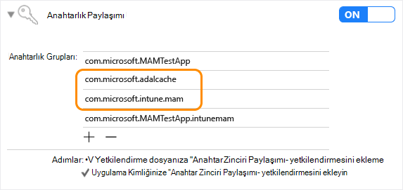 Intune Uygulama SDK'sı iOS: anahtarlık paylaşımı
