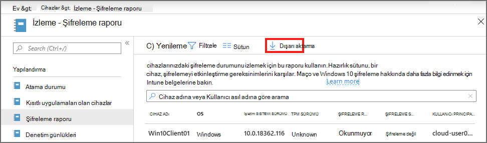 Ayrıntıları dışarı aktarma