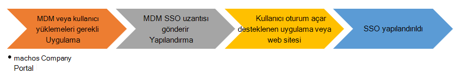 Microsoft Intune macOS cihazlarına SSO uygulama uzantısı yüklenirken son kullanıcı akış grafiği.