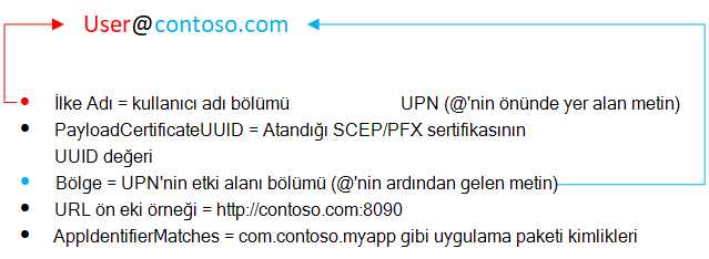 Microsoft Intune'de iOS/iPadOS Kullanıcı Adı SSO özniteliği