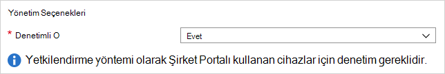 Denetimli seçeneğini gösteren ekran görüntüsü.