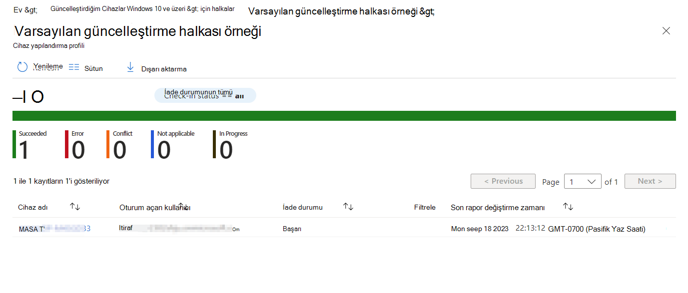 Raporu görüntüle eyleminden edinilebilen ayrıntıları gösteren ekran görüntüsü.