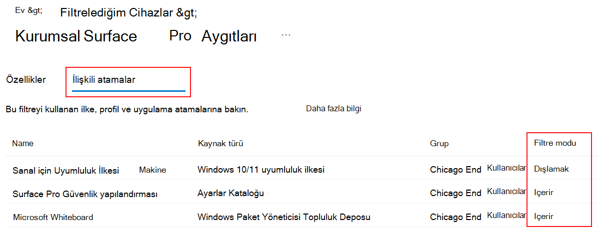 Microsoft Intune'da var olan bir atama filtresi için ilişkili atama sekmelerini gösteren ekran görüntüsü.