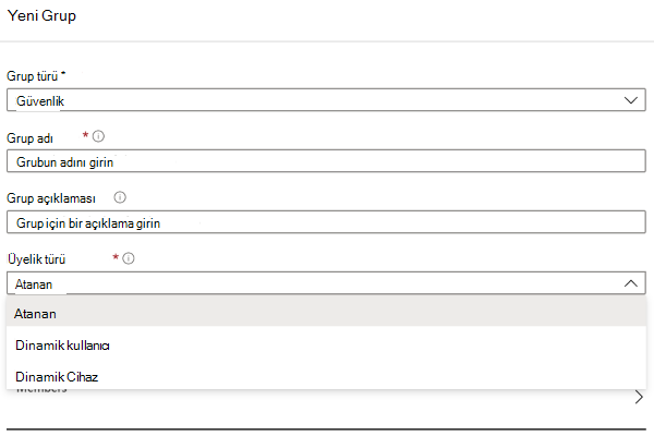 Intune yönetim merkezi içindeki Entra Yeni grup bölmesini gösteren ekran görüntüsü.
