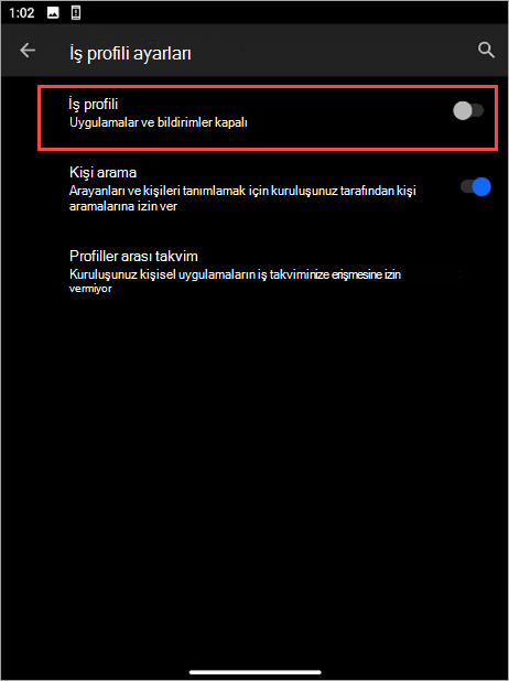 Surface Duo cihaz ayarlarında İş profili geçiş anahtarının kapalı olduğu ekran görüntüsü.