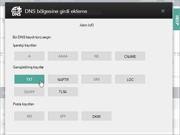 OVH, TXT girdisini seçin.