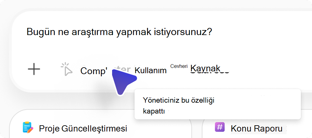Bilgisayar Kullanımı seçeneğinin gri görüntülendiğini gösteren ekran görüntüsü.