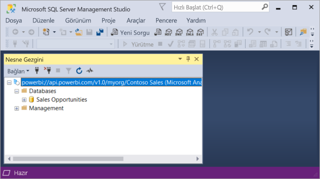 Microsoft SQL Server Management Studio penceresinin ekran görüntüsü. Nesne Gezgini ana bölmededir.