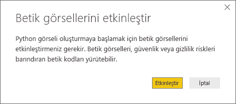 Screenshot of the Enable script visuals dialog, prompting you to enable it.