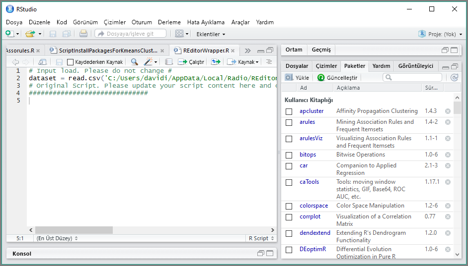 Screenshot of the R I D E launched in Power B I Desktop, showing it in R Studio.