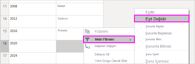 Metin Filtreleri ve Eşit Değil'in seçili olduğu bağlam menüsünü gösteren ekran görüntüsü.