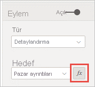 Screenshot of the Action pane, highlighting the Conditional formatting button.