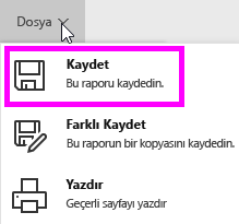 Bu raporu kaydet seçeneğini vurgulayan ekran görüntüsü.