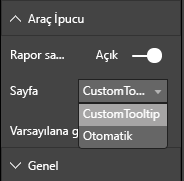 Rapor sayfası ipucu iletişim kutusunu gösteren ekran görüntüsü.