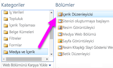 İçerik Düzenleyicisi Web Bölümü'nü seçmeyi gösteren ekran görüntüsü.