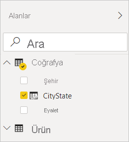 Screenshot of Power BI Desktop showing CityState checked in the Geography filter in the Fields view.