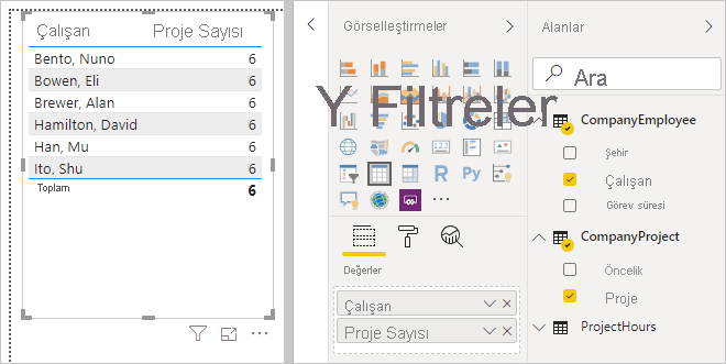 Screenshot of the visualization tab used with the Employee and Project fields.