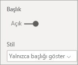 Başlık ve Stil seçeneklerinin ekran görüntüsü.