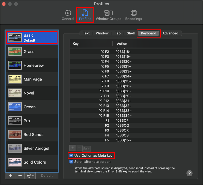 Terminal.app ayarlarının ekran görüntüsü.