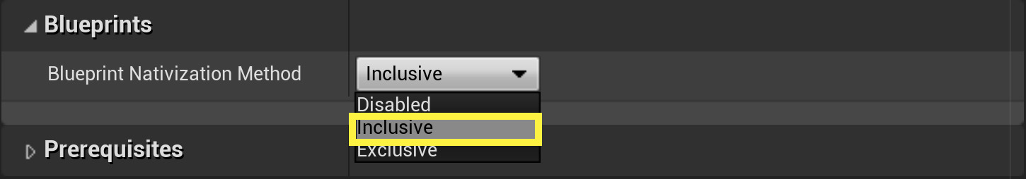 Blueprints setting with blueprint nativization method with inclusive highlighted