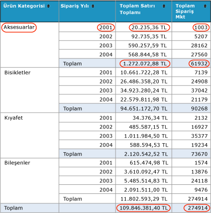 Daire içine alınmış değerlerle Ürün Satış Özeti raporu