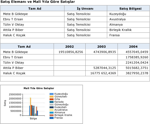 İki tablo ve bir grafik içeren rapor