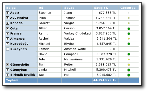 Farklı boyutlarda göstergeler içeren rapor