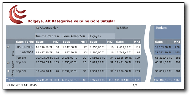 Verileri bir matris içinde görüntüleyen rapor