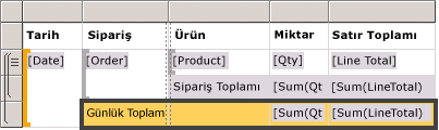 Tasarım görünümü: Temel tabloda günlük toplam satırı