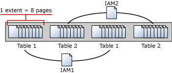 Kapsamları yöneten Index Allocation Map (IAM) sayfaları