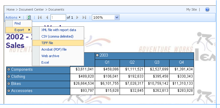 Rapor Görüntüleyicisi Web Bölümü