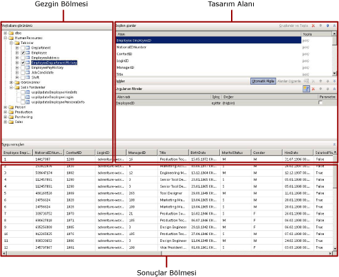 Sorgular için grafik tasarımcısı