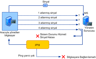 Sinyal işleminin resmi