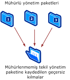 Tek bir yönetim paketine kaydedilen geçersiz kılmalar