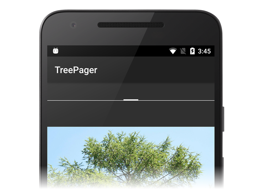 Boş bir PagerTabStrip'in kapanış ekran görüntüsü