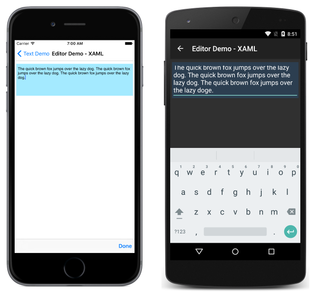 Düzenleyici Örneği