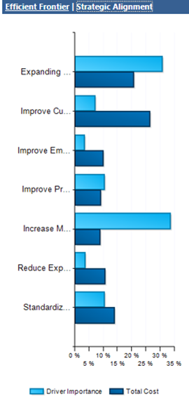 Sample strategic alignment.