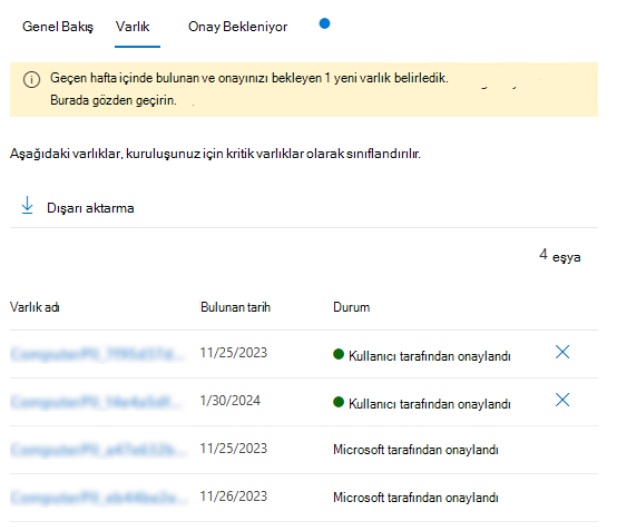 Varlık yönetimindeki varlıklar sekmesinin ekran görüntüsü.