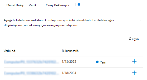 Varlık yönetiminde bekleyen onay sekmesinin ekran görüntüsü.