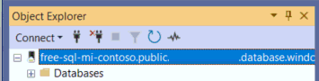 Nesne Gezgini'nde Azure SQL Yönetilen Örneği bağlantısının ekran görüntüsü.