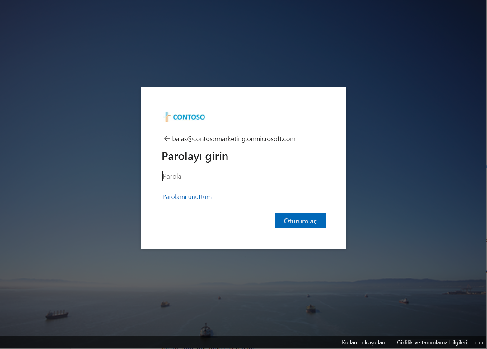 Screenshot that shows the customized sign-in page.