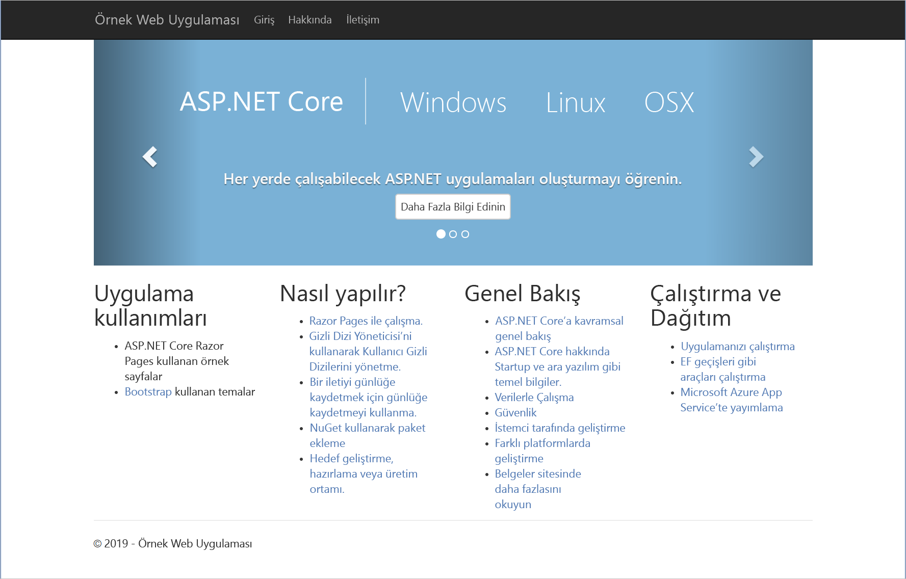Screenshot of the sample Docker image.